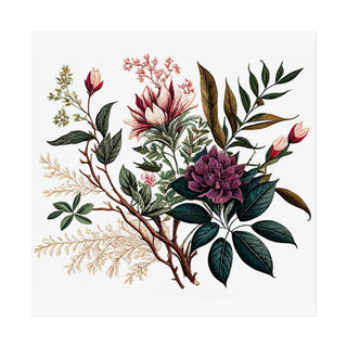Botanical Illustration Three | Art Print