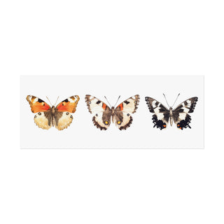 Butterfly Trio | Art Print