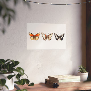 Butterfly Trio | Art Print