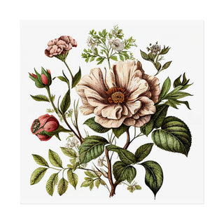 Botanical Illustration One | Art Print