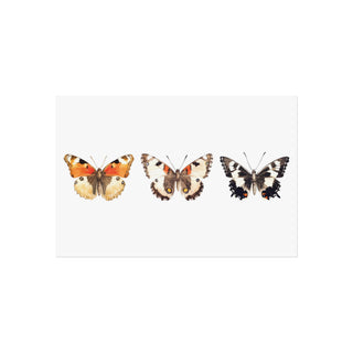 Butterfly Trio | Art Print