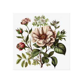 Botanical Illustration One | Art Print