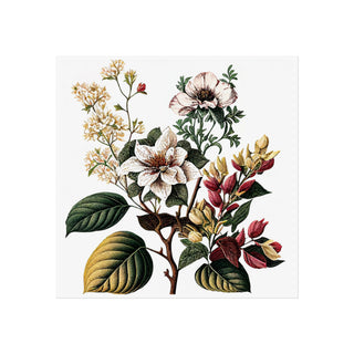 Botanical Illustration Two | Art Print