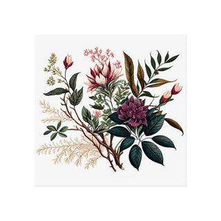 Botanical Illustration Three | Art Print