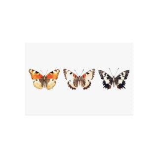 Butterfly Trio | Art Print
