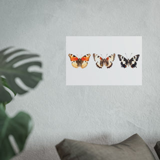 Butterfly Trio | Art Print