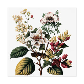 Botanical Illustration Two | Art Print