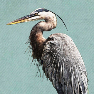 Illustration of a heron on a light blue background