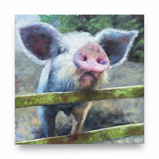 A square canvas painting of a pig looking through a fence, displayed against a neutral gray wall.