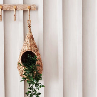 Nesty | Handwoven Wallhanging Plant Basket